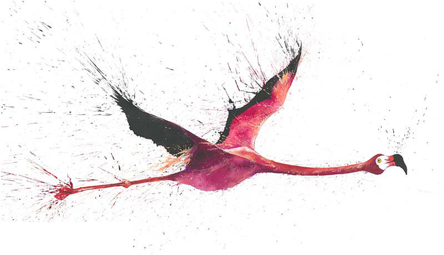 Flying Flamingo Postcard Set 2
